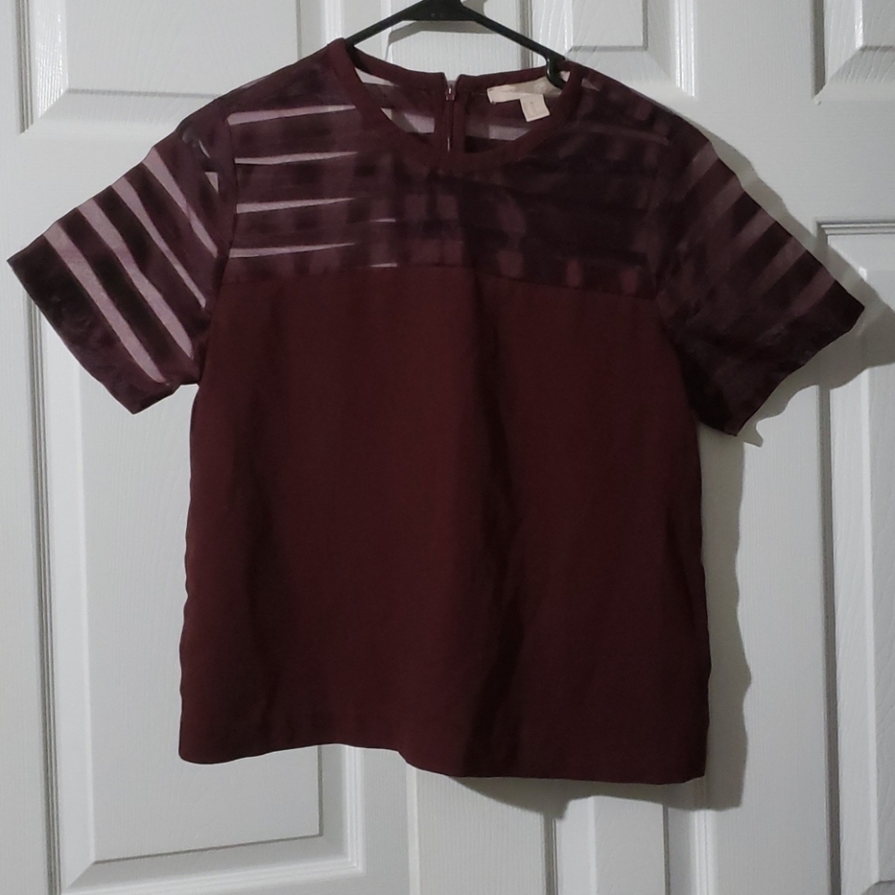 Forever 21 Burgundy Mesh Stripe Short Sleeve Top